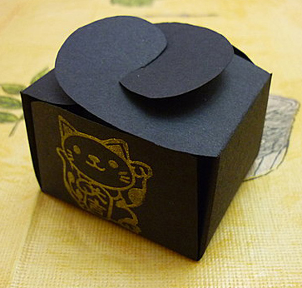 Packaging box HPP-024